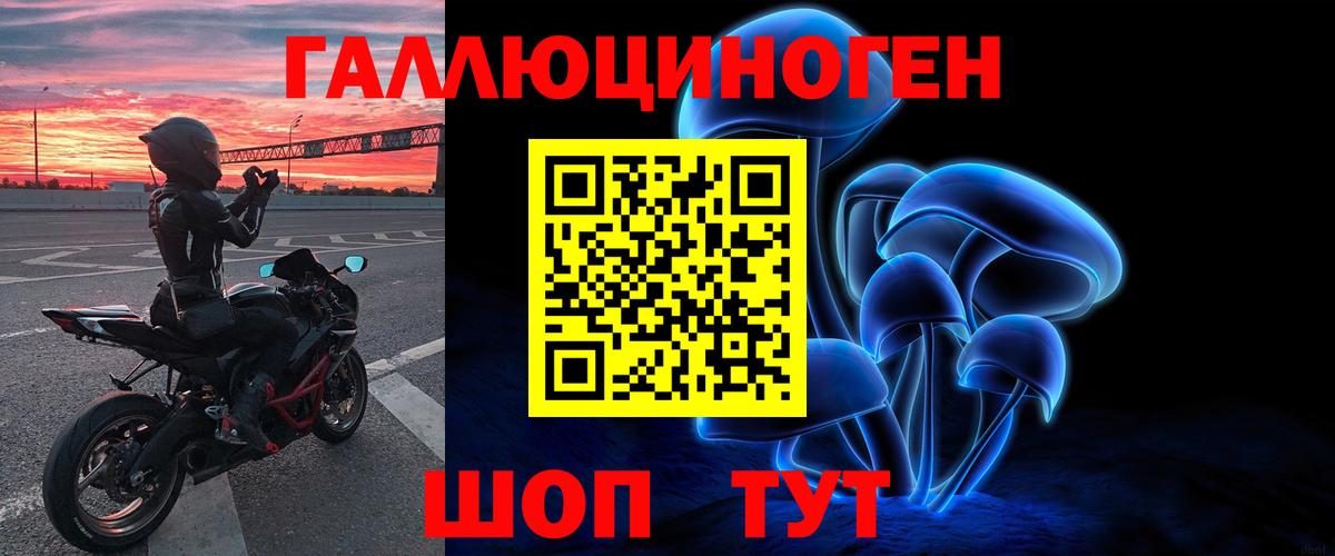 Псилоцибиновые грибы Psilocybine cubensis Мариинск