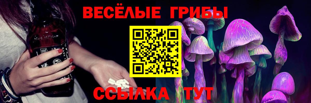 Мариинск  Галлюциногенные грибы Psilocybe  Вход с VPN 